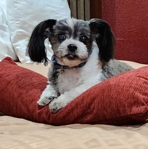 Thanks U Thanks again